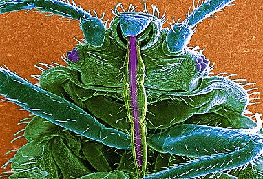 《使命召唤：战区》再出BUG 玩家手里的枪没了